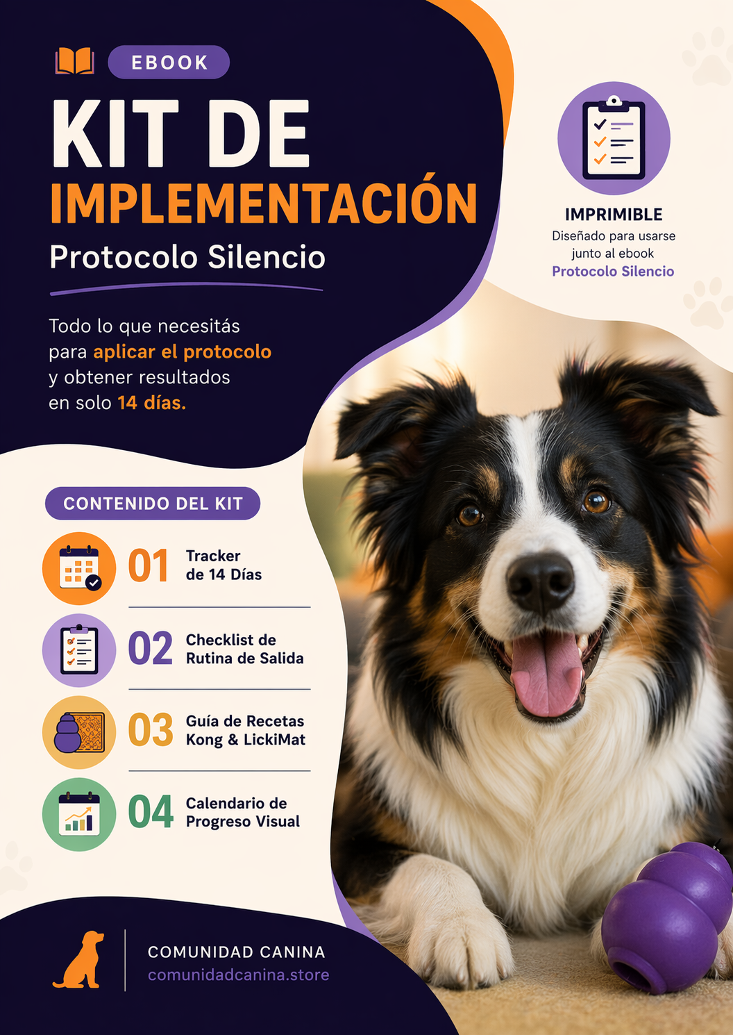 Kit de Implementación Protocolo Silencio