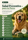 Salud Preventiva para tu Perro – Guía práctica completa